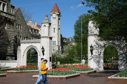 Sample Gates